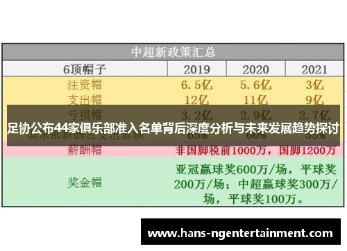 足协公布44家俱乐部准入名单背后深度分析与未来发展趋势探讨